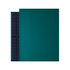 DAH Solar 430W green Doppelglas (GRÜNES PV MODUL)